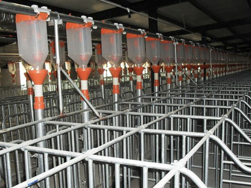 自動(dòng)喂料系統(tǒng)