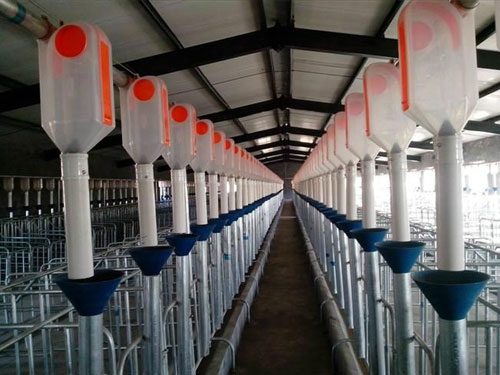 自動(dòng)喂料系統(tǒng)