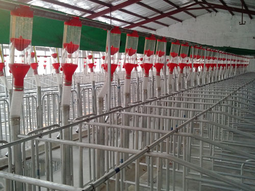 自動(dòng)喂料系統(tǒng)