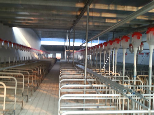 自動(dòng)喂料系統(tǒng)