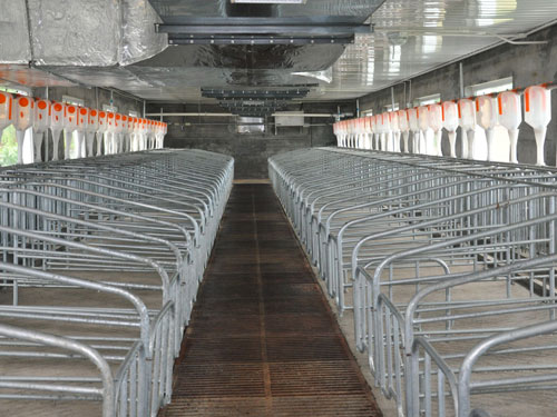 自動(dòng)喂料系統(tǒng)