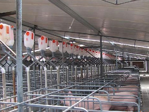 自動(dòng)喂料系統(tǒng)