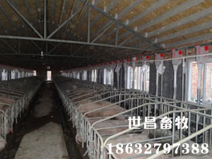 陜西安康安裝現(xiàn)場(chǎng)