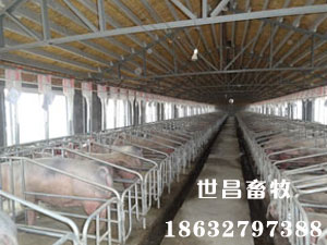 保定安裝現(xiàn)場(chǎng)