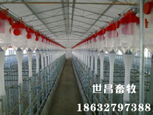 安裝現(xiàn)場(chǎng)