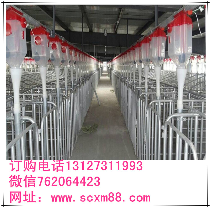 豬場自動(dòng)化上料喂豬設(shè)備河北弘昌安裝專賣