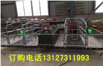 雙體母豬產床