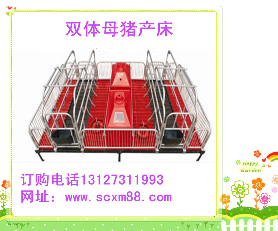 母豬雙體產(chǎn)床河北弘昌生產(chǎn) 直銷