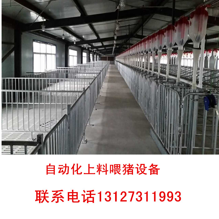 豬場(chǎng)設(shè)計(jì)自動(dòng)化料線