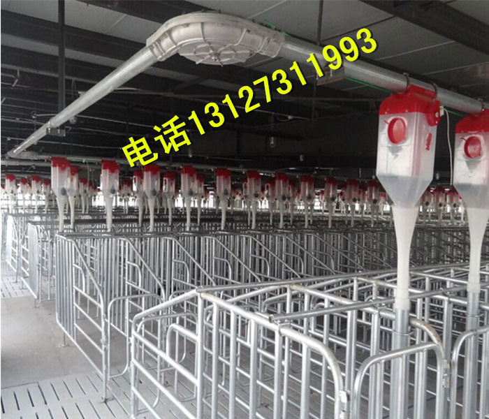 豬場自動(dòng)喂料系統(tǒng)