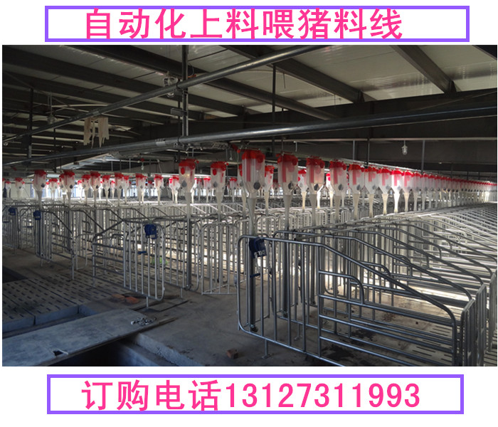 養(yǎng)豬自動(dòng)化料線