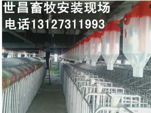 養(yǎng)豬自動(dòng)化料線