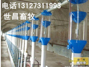 自動(dòng)化料線喂豬設(shè)備