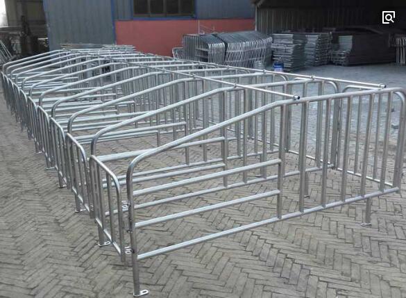 養(yǎng)豬用定位欄結(jié)實(shí)耐用廠家直銷報(bào)價(jià)出售