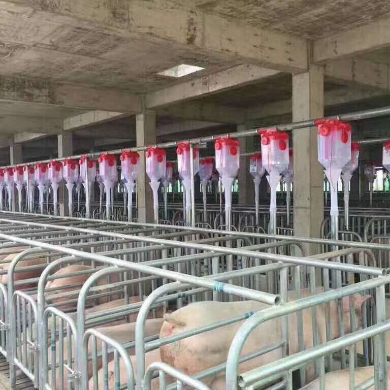 豬場自動料線轉(zhuǎn)角