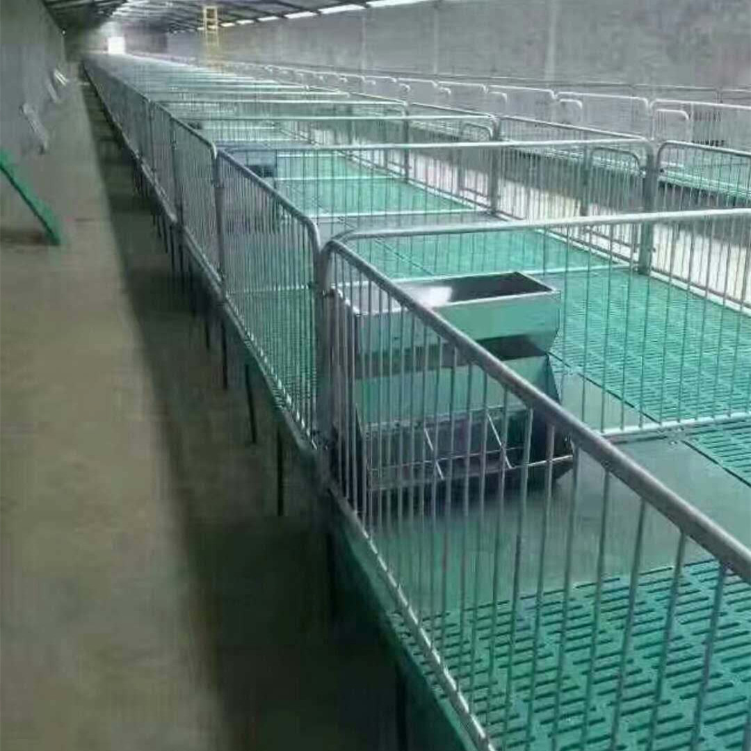 復(fù)合小豬保育床