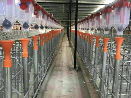 喂豬自動(dòng)喂料設(shè)備