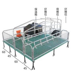 豬用單體母豬產床