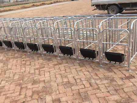 豬用欄位廠家供應(yīng)
