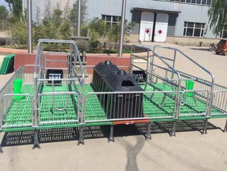 世昌豬用母豬產床