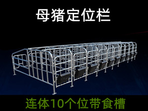 養(yǎng)豬場限位欄批發(fā)