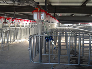 養(yǎng)殖業(yè)自動(dòng)下料線(xiàn)設(shè)計(jì)廠(chǎng)家