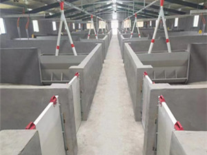 自動化喂豬料線廠家安裝