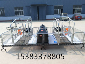 豬場器械母豬產(chǎn)床