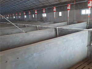 限位欄設(shè)備自動(dòng)化供料系統(tǒng)