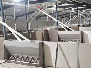 母豬自動喂料系統(tǒng)