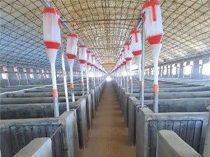 自動料線定量杯批發(fā)