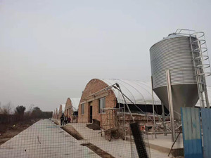 育肥豬場自動(dòng)下料線