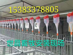 自動化喂豬料線