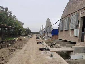 豬場(chǎng)清糞機(jī)圖片