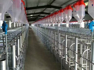 豬場自動喂料系統(tǒng)