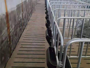 豬場(chǎng)限位欄安裝