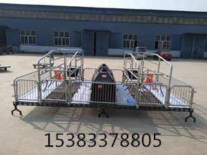 母豬產(chǎn)床限位欄批發(fā)